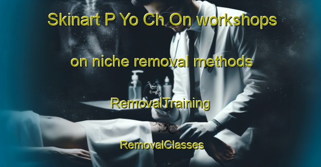 Skinart P Yo Ch On workshops on niche removal methods | RemovalTraining | RemovalClasses | SkinartTraining-Korea