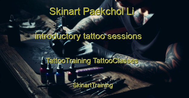 Skinart Paekchol Li introductory tattoo sessions | #TattooTraining #TattooClasses #SkinartTraining-Korea