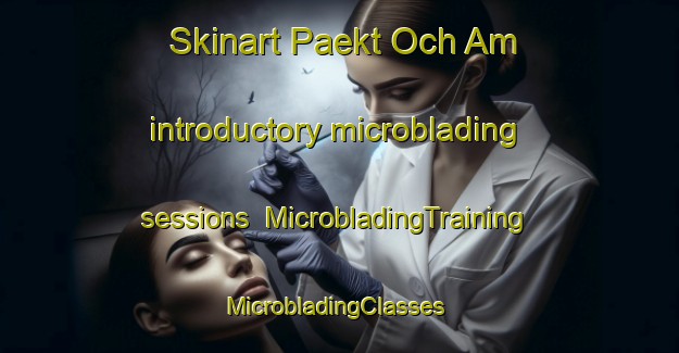 Skinart Paekt Och Am introductory microblading sessions | MicrobladingTraining | MicrobladingClasses | SkinartTraining-Korea