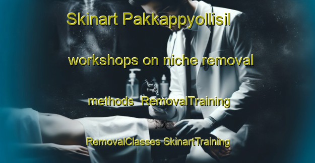 Skinart Pakkappyollisil workshops on niche removal methods | #RemovalTraining #RemovalClasses #SkinartTraining-Korea