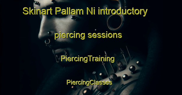 Skinart Pallam Ni introductory piercing sessions | PiercingTraining | PiercingClasses | SkinartTraining-Korea