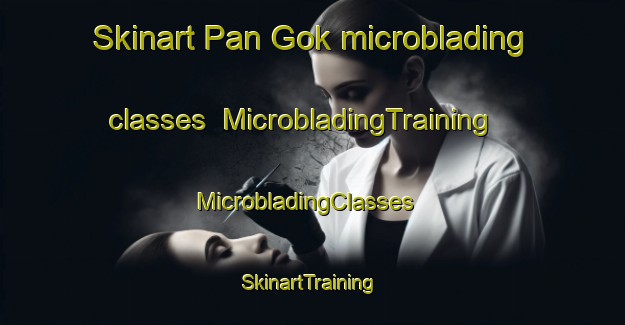 Skinart Pan Gok microblading classes | MicrobladingTraining | MicrobladingClasses | SkinartTraining-Korea