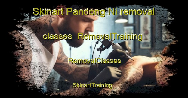Skinart Pandong Ni removal classes | RemovalTraining | RemovalClasses | SkinartTraining-Korea