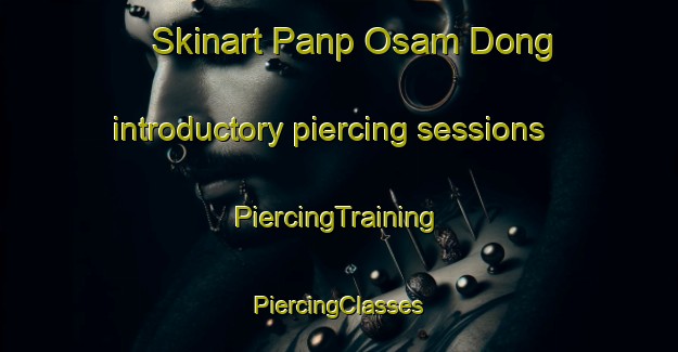 Skinart Panp Osam Dong introductory piercing sessions | #PiercingTraining #PiercingClasses #SkinartTraining-Korea