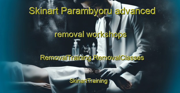 Skinart Parambyoru advanced removal workshops | #RemovalTraining #RemovalClasses #SkinartTraining-Korea