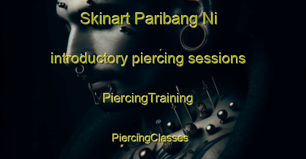 Skinart Paribang Ni introductory piercing sessions | PiercingTraining | PiercingClasses | SkinartTraining-Korea