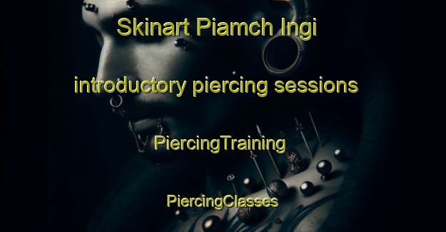 Skinart Piamch Ingi introductory piercing sessions | #PiercingTraining #PiercingClasses #SkinartTraining-Korea