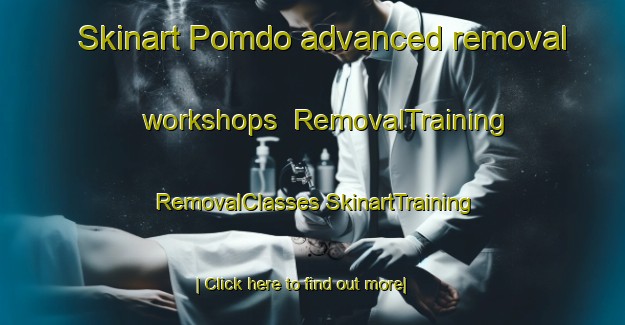 Skinart Pomdo advanced removal workshops | #RemovalTraining #RemovalClasses #SkinartTraining-Korea