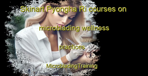 Skinart Pyongha Ri courses on microblading wellness practices | MicrobladingTraining | MicrobladingClasses | SkinartTraining-Korea