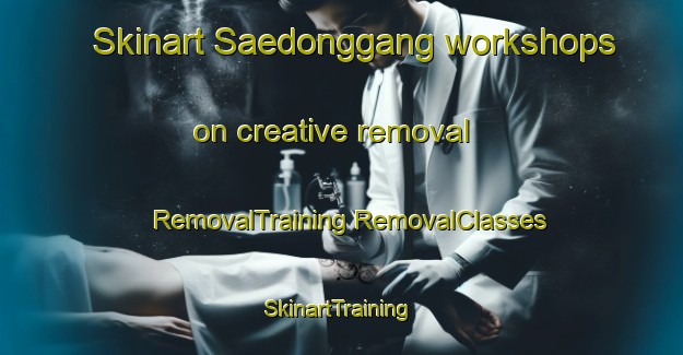 Skinart Saedonggang workshops on creative removal | #RemovalTraining #RemovalClasses #SkinartTraining-Korea