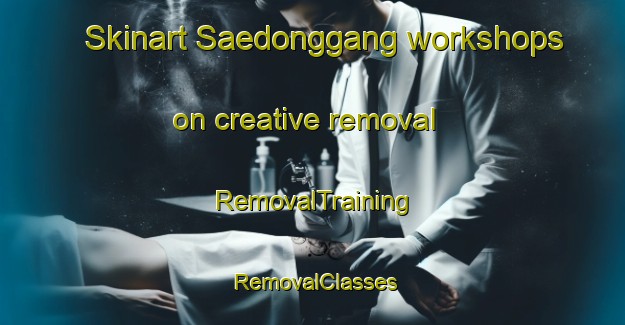 Skinart Saedonggang workshops on creative removal | RemovalTraining | RemovalClasses | SkinartTraining-Korea