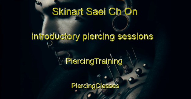 Skinart Saei Ch On introductory piercing sessions | #PiercingTraining #PiercingClasses #SkinartTraining-Korea