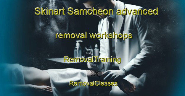 Skinart Samcheon advanced removal workshops | RemovalTraining | RemovalClasses | SkinartTraining-Korea