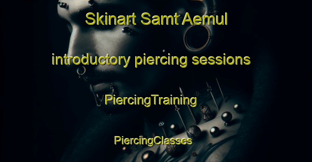 Skinart Samt Aemul introductory piercing sessions | PiercingTraining | PiercingClasses | SkinartTraining-Korea