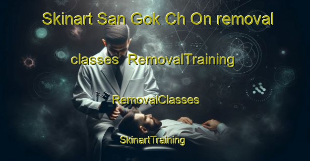 Skinart San Gok Ch On removal classes | RemovalTraining | RemovalClasses | SkinartTraining-Korea