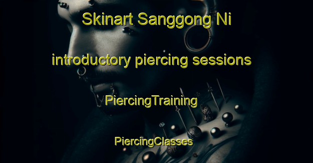 Skinart Sanggong Ni introductory piercing sessions | PiercingTraining | PiercingClasses | SkinartTraining-Korea