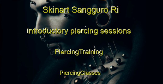 Skinart Sangguro Ri introductory piercing sessions | PiercingTraining | PiercingClasses | SkinartTraining-Korea