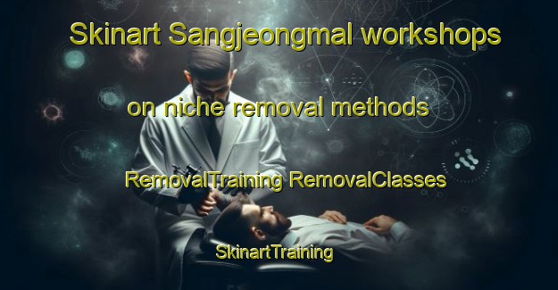 Skinart Sangjeongmal workshops on niche removal methods | #RemovalTraining #RemovalClasses #SkinartTraining-Korea