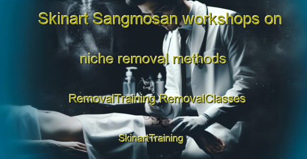 Skinart Sangmosan workshops on niche removal methods | #RemovalTraining #RemovalClasses #SkinartTraining-Korea