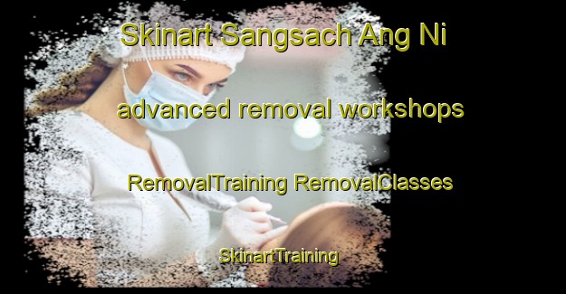 Skinart Sangsach Ang Ni advanced removal workshops | #RemovalTraining #RemovalClasses #SkinartTraining-Korea