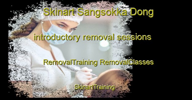 Skinart Sangsokka Dong introductory removal sessions | #RemovalTraining #RemovalClasses #SkinartTraining-Korea