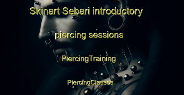 Skinart Sebari introductory piercing sessions | PiercingTraining | PiercingClasses | SkinartTraining-Korea