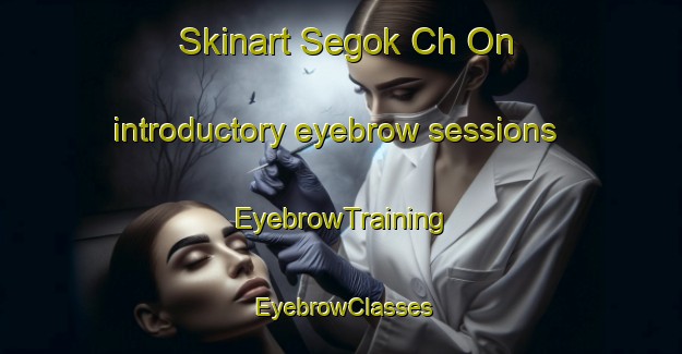 Skinart Segok Ch On introductory eyebrow sessions | EyebrowTraining | EyebrowClasses | SkinartTraining-Korea