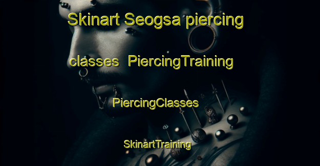 Skinart Seogsa piercing classes | PiercingTraining | PiercingClasses | SkinartTraining-Korea