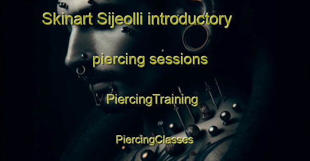 Skinart Sijeolli introductory piercing sessions | #PiercingTraining #PiercingClasses #SkinartTraining-Korea