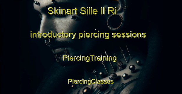 Skinart Sille Il Ri introductory piercing sessions | #PiercingTraining #PiercingClasses #SkinartTraining-Korea