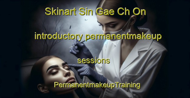 Skinart Sin Gae Ch On introductory permanentmakeup sessions | PermanentmakeupTraining | PermanentmakeupClasses | SkinartTraining-Korea