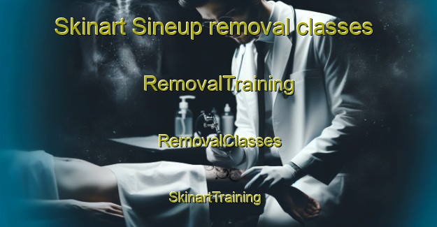Skinart Sineup removal classes | RemovalTraining | RemovalClasses | SkinartTraining-Korea
