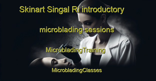 Skinart Singal Ri introductory microblading sessions | MicrobladingTraining | MicrobladingClasses | SkinartTraining-Korea