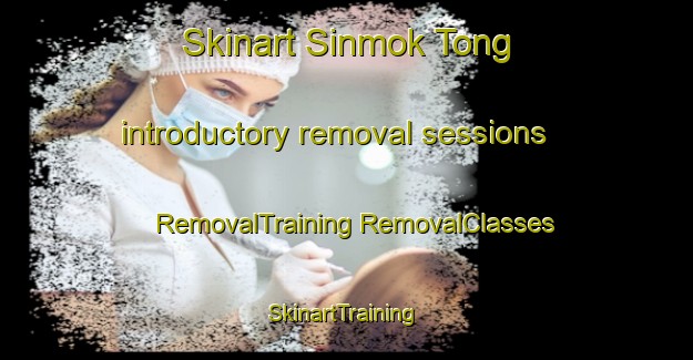 Skinart Sinmok Tong introductory removal sessions | #RemovalTraining #RemovalClasses #SkinartTraining-Korea