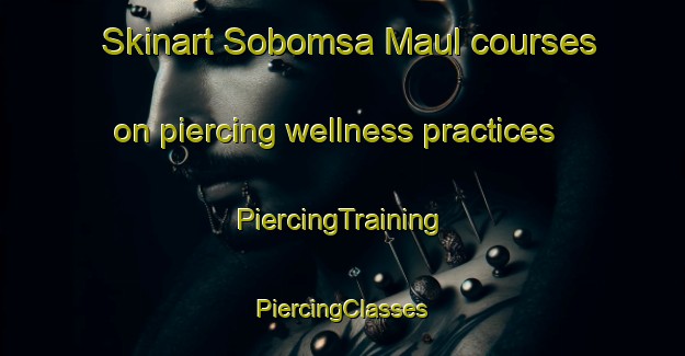 Skinart Sobomsa Maul courses on piercing wellness practices | #PiercingTraining #PiercingClasses #SkinartTraining-Korea