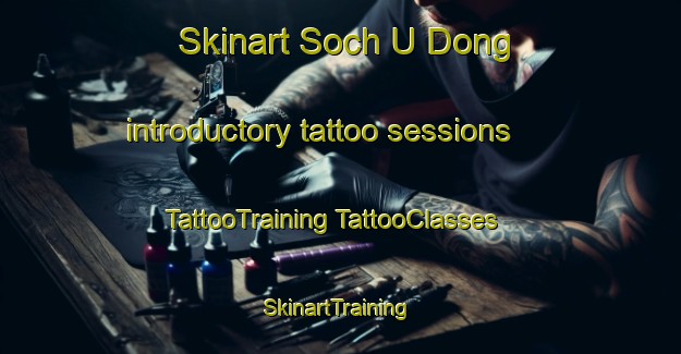 Skinart Soch U Dong introductory tattoo sessions | #TattooTraining #TattooClasses #SkinartTraining-Korea