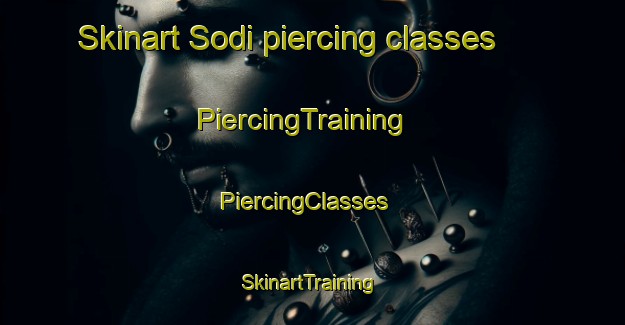 Skinart Sodi piercing classes | PiercingTraining | PiercingClasses | SkinartTraining-Korea