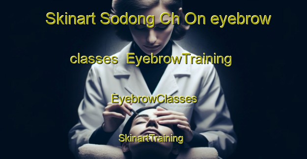 Skinart Sodong Ch On eyebrow classes | EyebrowTraining | EyebrowClasses | SkinartTraining-Korea