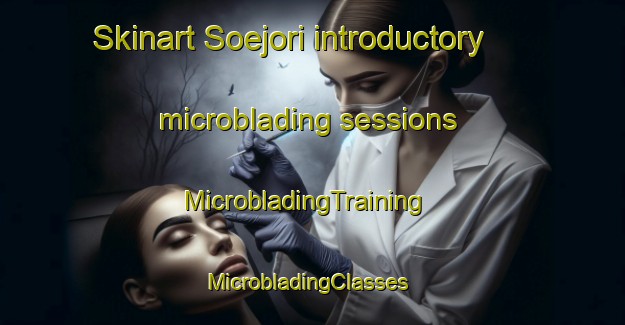 Skinart Soejori introductory microblading sessions | MicrobladingTraining | MicrobladingClasses | SkinartTraining-Korea
