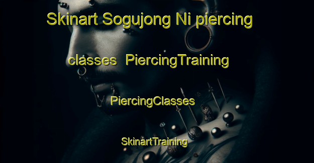 Skinart Sogujong Ni piercing classes | PiercingTraining | PiercingClasses | SkinartTraining-Korea