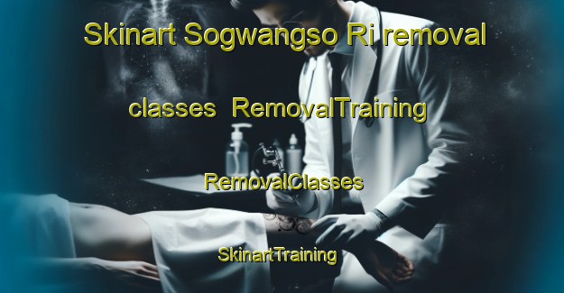 Skinart Sogwangso Ri removal classes | RemovalTraining | RemovalClasses | SkinartTraining-Korea