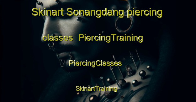 Skinart Sonangdang piercing classes | PiercingTraining | PiercingClasses | SkinartTraining-Korea