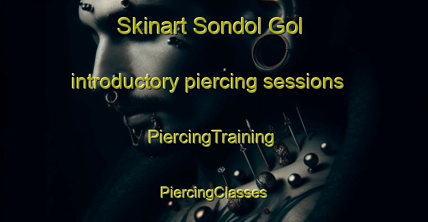 Skinart Sondol Gol introductory piercing sessions | #PiercingTraining #PiercingClasses #SkinartTraining-Korea