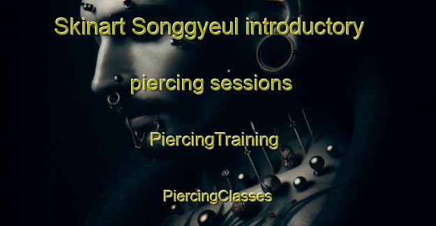 Skinart Songgyeul introductory piercing sessions | #PiercingTraining #PiercingClasses #SkinartTraining-Korea