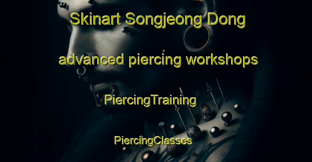 Skinart Songjeong Dong advanced piercing workshops | PiercingTraining | PiercingClasses | SkinartTraining-Korea