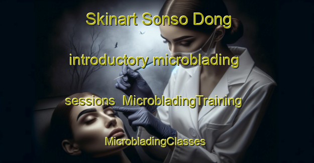 Skinart Sonso Dong introductory microblading sessions | MicrobladingTraining | MicrobladingClasses | SkinartTraining-Korea