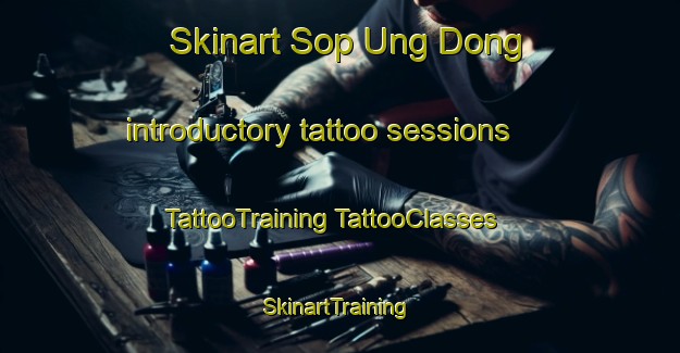 Skinart Sop Ung Dong introductory tattoo sessions | #TattooTraining #TattooClasses #SkinartTraining-Korea