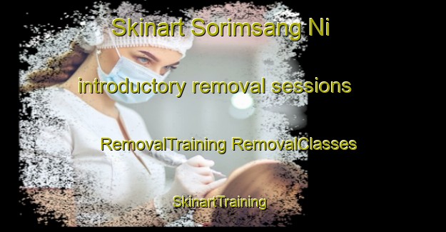 Skinart Sorimsang Ni introductory removal sessions | #RemovalTraining #RemovalClasses #SkinartTraining-Korea