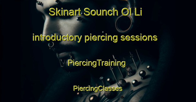 Skinart Sounch Ol Li introductory piercing sessions | #PiercingTraining #PiercingClasses #SkinartTraining-Korea