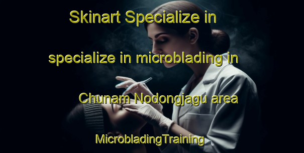 Skinart Specialize in specialize in microblading in Chunam Nodongjagu area | #MicrobladingTraining #MicrobladingClasses #SkinartTraining-Korea